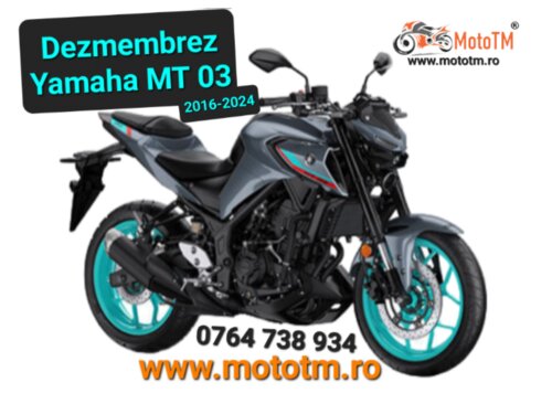 Yamaha MT 03 2016 - 2024