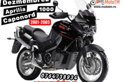 Aprilia ETV 1000 Caponord 2001-2003