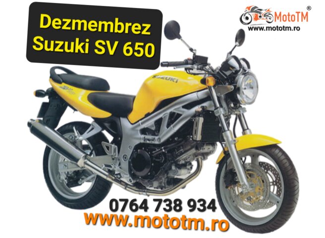 Suzuki SV 650 1999-2002